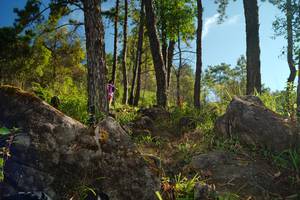 BIB: 
                            <button type="button" onclick="openModal(18916714)" class="btn btn-primary btn-sm float-right btn-popup" data-toggle="modal" data-target=".modal-high-quality">
                        <i class="fas fa-shopping-cart"></i> Add to Cart
                    </button>
                                            <button type="button" onclick="isThisMe(18916714, true)" class="btn btn-success btn-sm float-right btn-popup btn-isme hidden" data-toggle="tooltip" data-placement="bottom" title="นี่คือรูปของคุณใช่ไหม คลิกที่นี่เพื่อเอาเข้าอัลบั้ม">
                        <i class="fas fa-plus"></i> Add to album
                    </button>
                    <button type="button" onclick="isThisMe(18916714, false)" class="btn btn-warning btn-sm float-right btn-popup btn-isnotme hidden">
                        <i class="fas fa-ban"></i> Remove from album
                    </button>